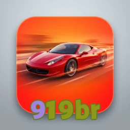 919br